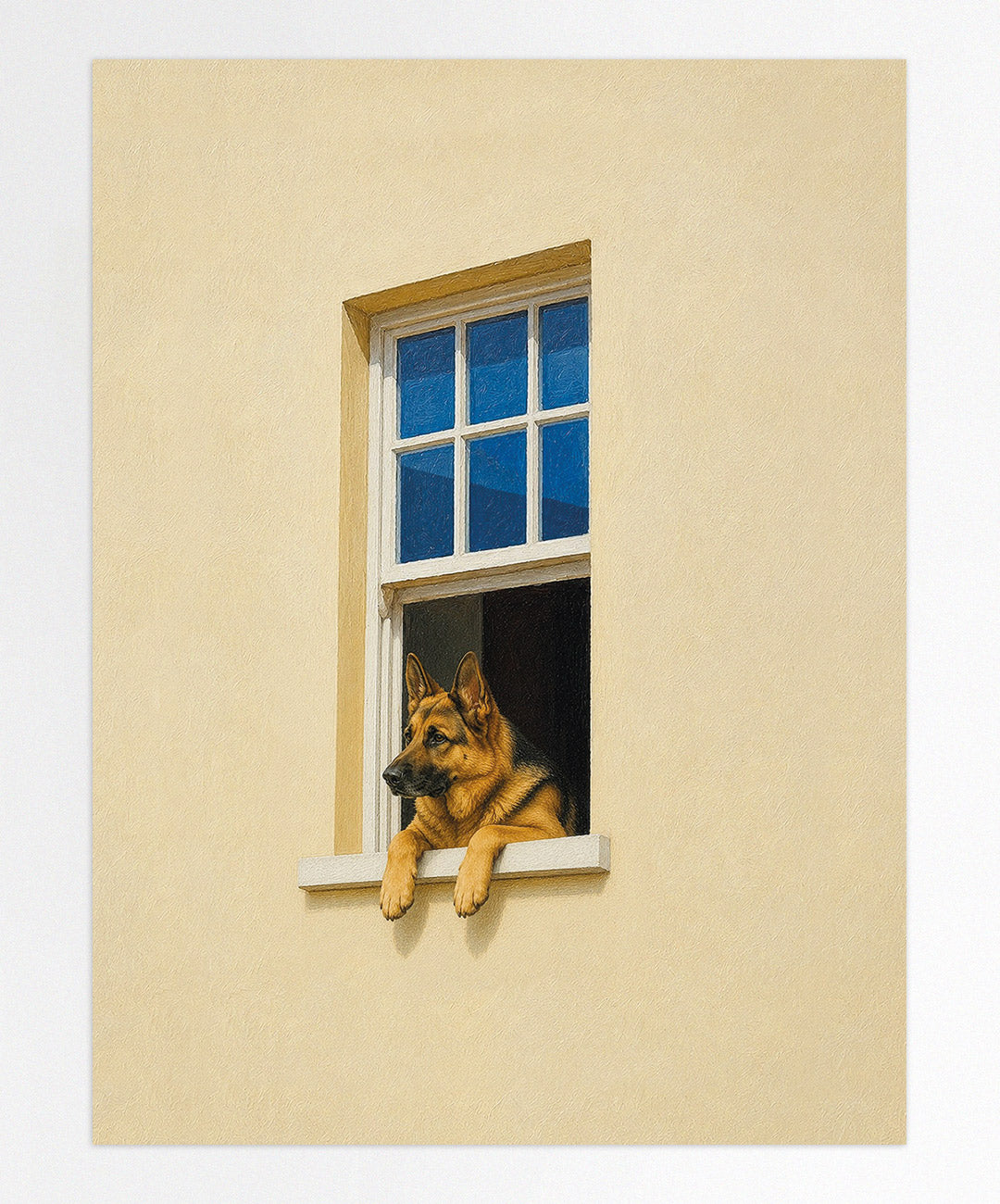 Ventana Viva